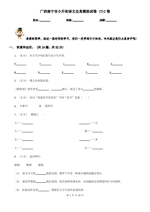 广西南宁市小升初语文全真模拟试卷 (7)C卷