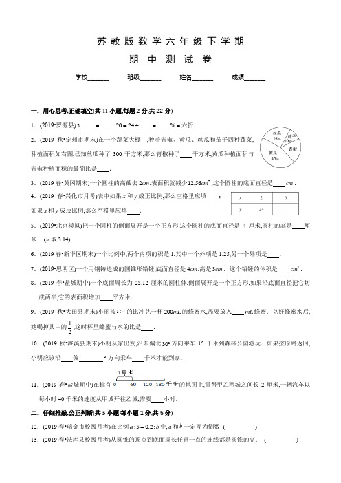 苏教版六年级下学期数学《期中检测卷》及答案