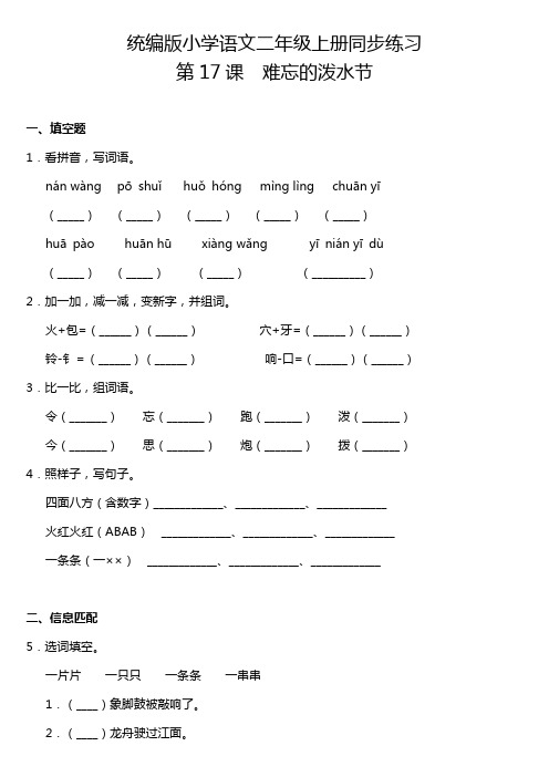 部编版小学语文二年级上册17.难忘的泼水节 课课练试题(含答案)