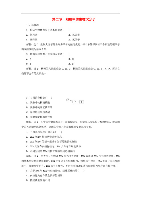 高中生物 第二章 细胞的化学组成 第二节 细胞中的生物大分子 第1课时 生物大分子的基本骨架与核酸课