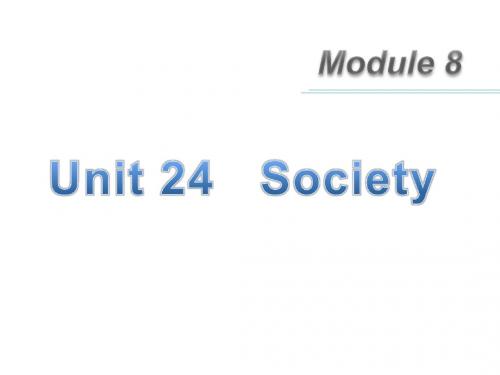 高三英语北师大版一轮复习课件：Module 8 unit 24 Society