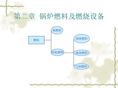 第二章 锅炉燃料及燃烧设备