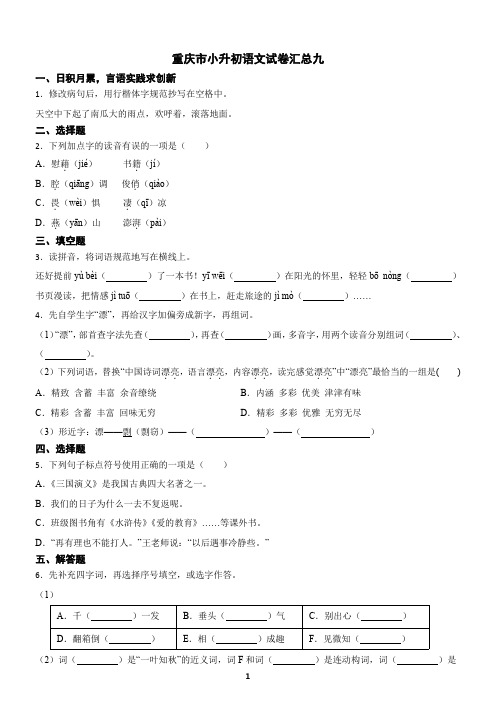 重庆市小升初语文试卷汇总九(含答案)