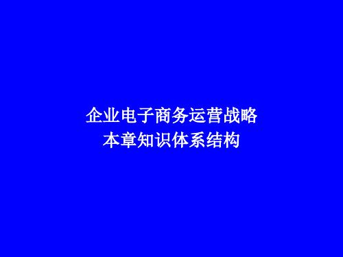 企业电子商务运营战略(ppt 41)