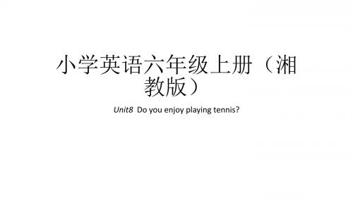 六年级上册英语课件-Unit8  Do you enjoy playing tennis｜湘鲁版