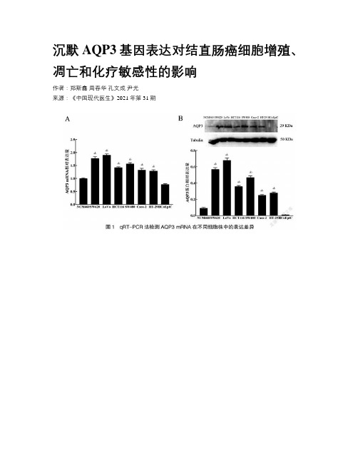 沉默AQP3基因表达对结直肠癌细胞增殖、凋亡和化疗敏感性的影响