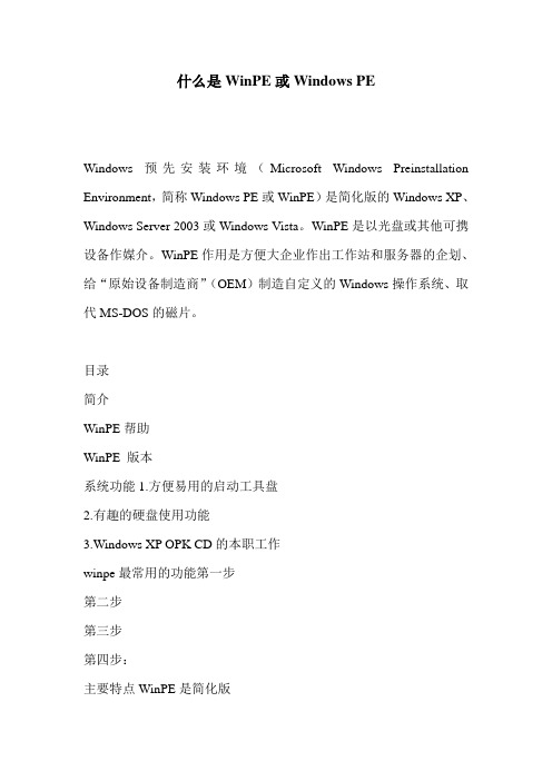 什么是WinPE或Windows PE