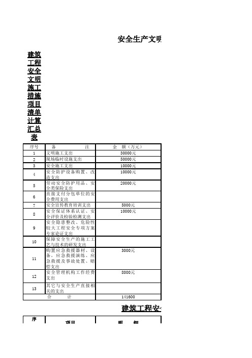 安全文明生产施工措施费用投入计划表