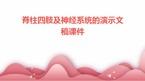 脊柱四肢及神经系统的演示文稿课件