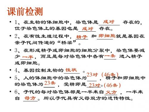 8.2.3基因的显性和隐性