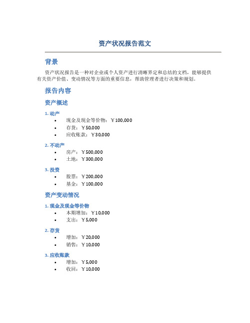 资产状况报告范文