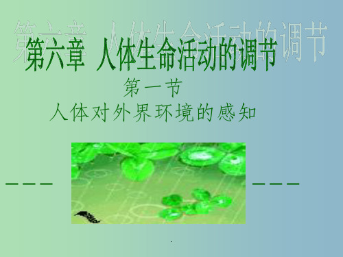 七年级生物下册第四单元第六章第一节人体对外界环境的感知2新版新人教版