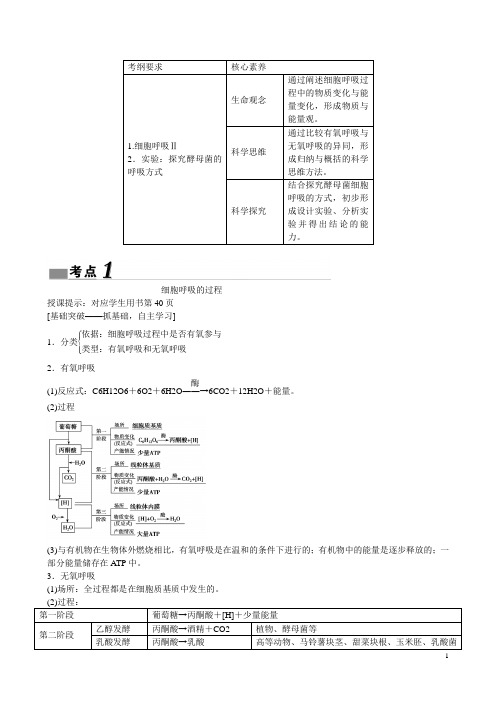 (新课标)高三一轮复习第3单元第2讲细胞呼吸教案(生物)