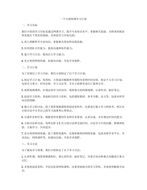 一个小组网课学习计划