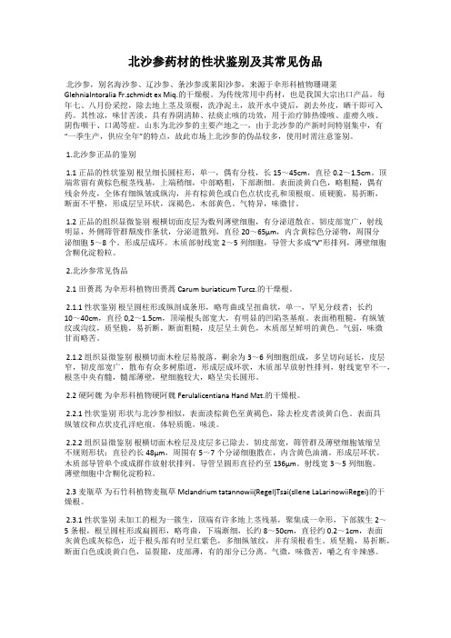 北沙参药材的性状鉴别及其常见伪品