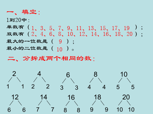 一年级上册数学课件-5.4  整理与提高(加倍与一半)  ▏沪教版 (共20张PPT)