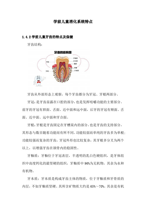 学前儿童消化系统特点