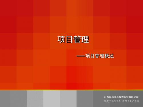 某信息技术公司项目管理概述(PPT 32张)