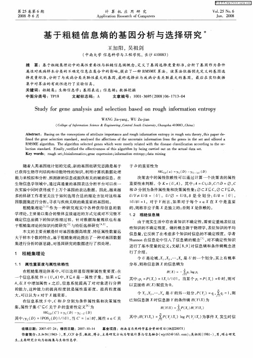 基于粗糙信息熵的基因分析与选择研究