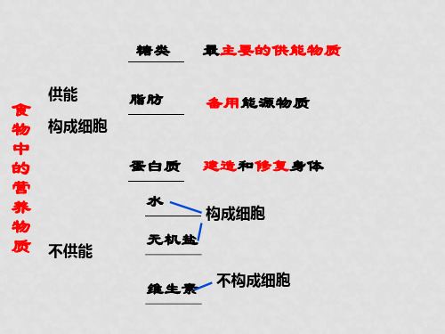 七年级生物下册 第四单元 第二章 第二节 消化和吸收课