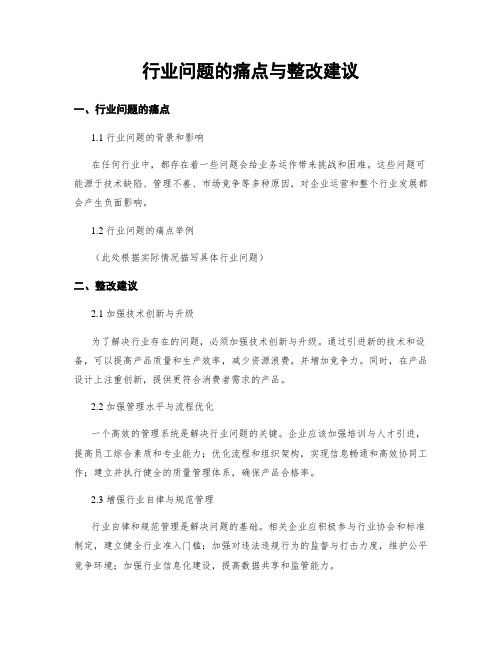 行业问题的痛点与整改建议