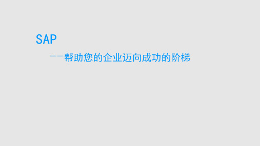 SAP介绍完整详细版PPT课件