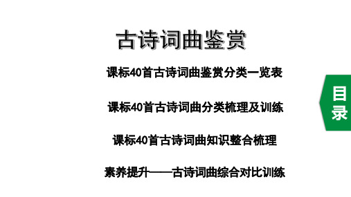 2020河北省中考语文专题复习：古诗词曲鉴赏