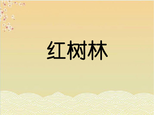 五年级上册语文课件-红树林北师大版 (共16张PPT)