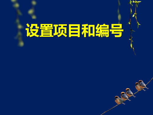 9 设置项目和编号(教学课件)