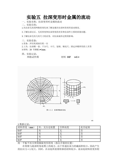 实验五 拉深变形时金属的流动