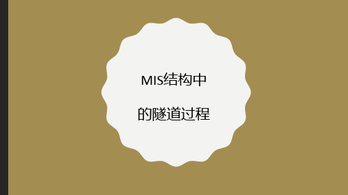 MIS结构中的隧道过程