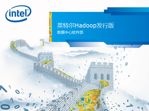 intel Hadoop方案介绍