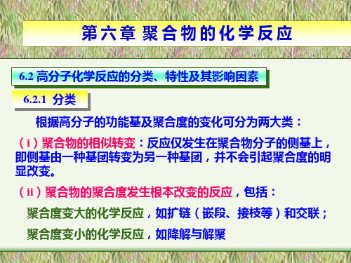 高分子的化学反应—高分子化学反应的类型、特征