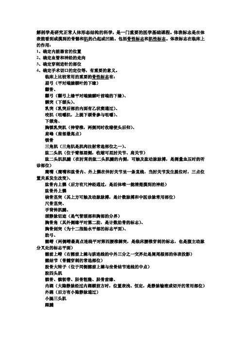 体表标志才艺展示