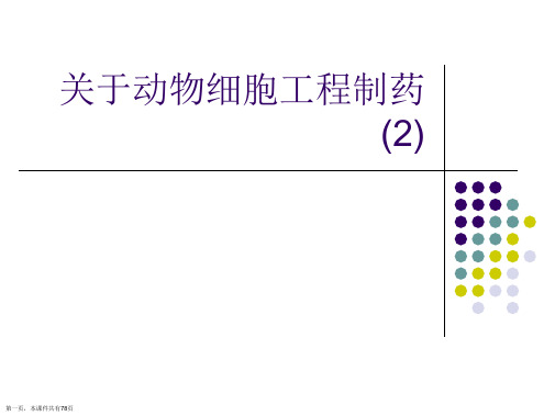 动物细胞工程制药 (2)课件