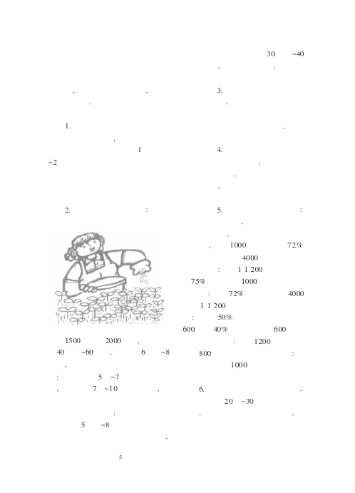 辣椒田间管理要点