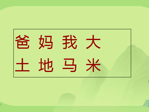 一年级语文二类字复习 汉语拼音--识字1