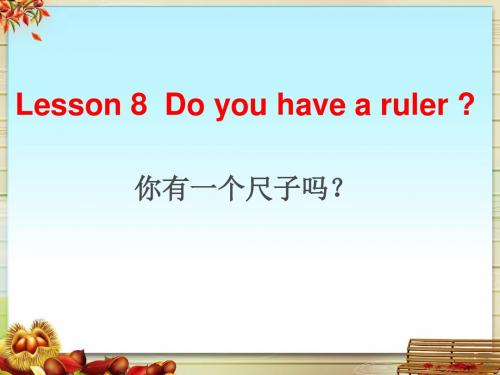 Lesson_8Do_you_have_a_ruler