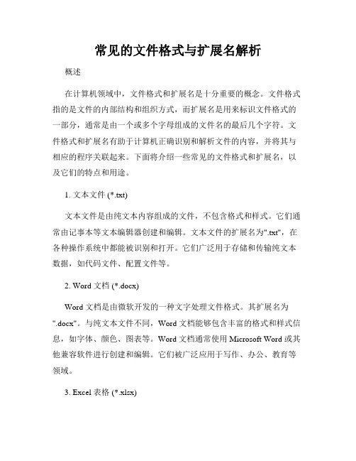 常见的文件格式与扩展名解析