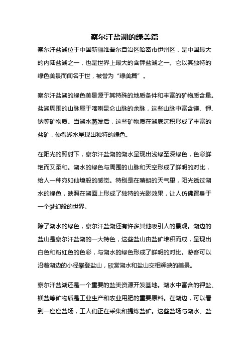 察尔汗盐湖的绿美篇