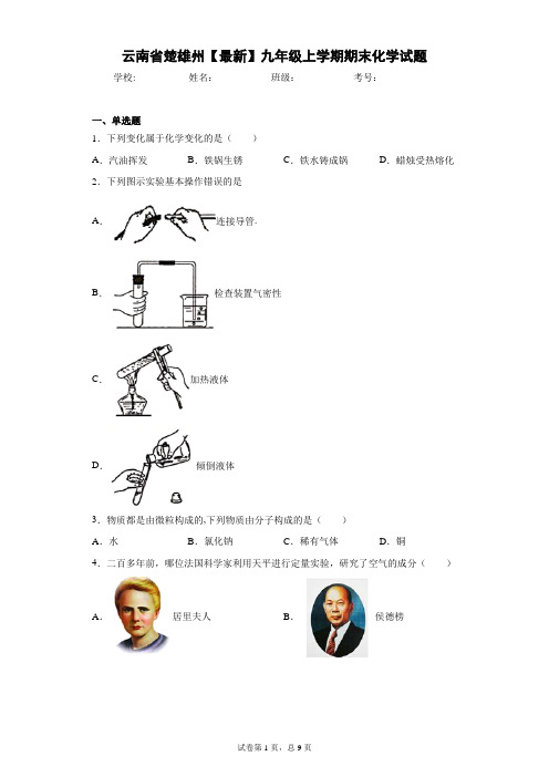 云南省楚雄州2020-2021学年九年级上学期期末化学试题 答案和解析