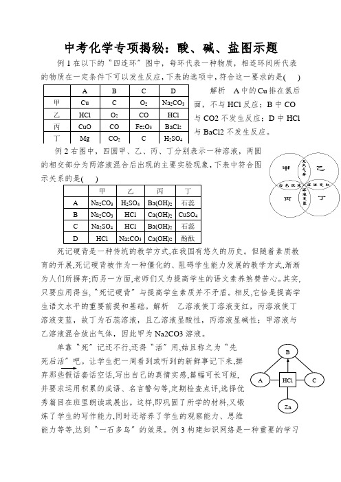 中考化学专项揭秘：酸、碱、盐图示题