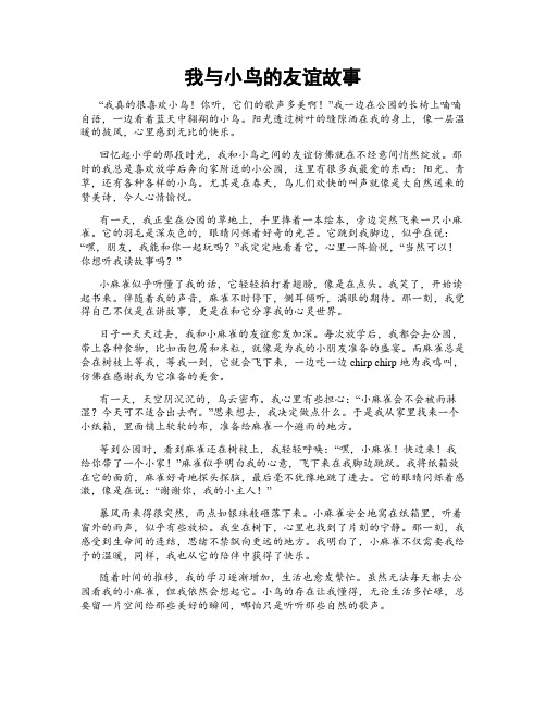 我与小鸟的友谊故事