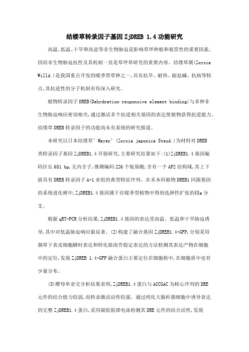 结缕草转录因子基因ZjDREB 1.4功能研究