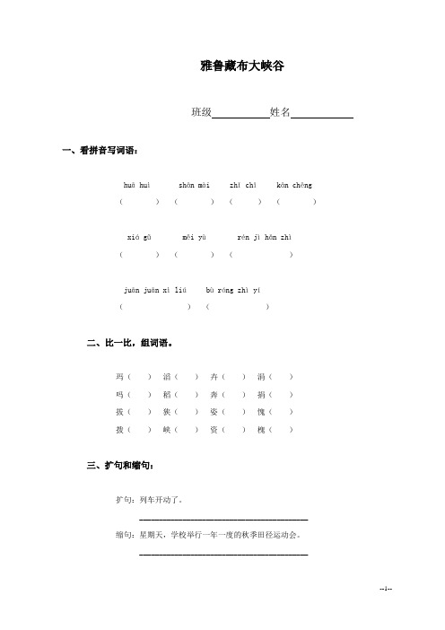 (人教新课标)四年级语文上册 雅鲁藏布大峡谷(同步练习)(课课过关)课后习题课堂练习