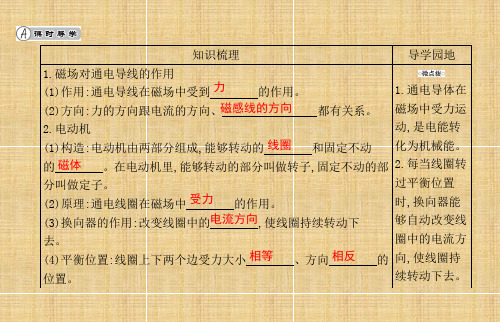 电动机+培优训练   九年级全一册物理