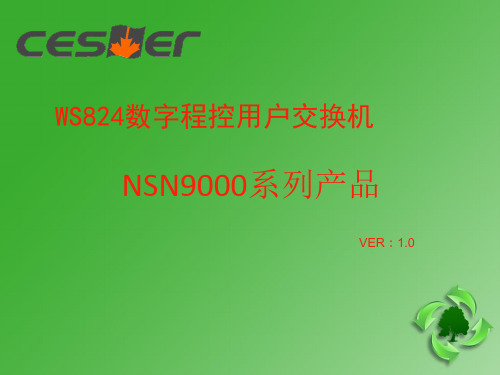 NSN9000系列特色功能及产品应用培训