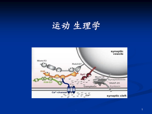 运动生理学(全)PPT课件