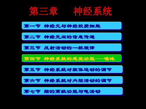 神经系统的感觉功能嗅味精品PPT课件