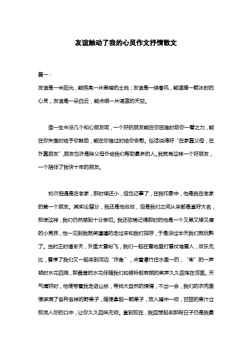 友谊触动了我的心灵作文抒情散文